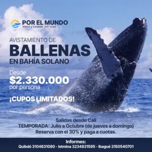 Viaje al Avistamiento de Ballenas a Bahía Solano del desde Cali