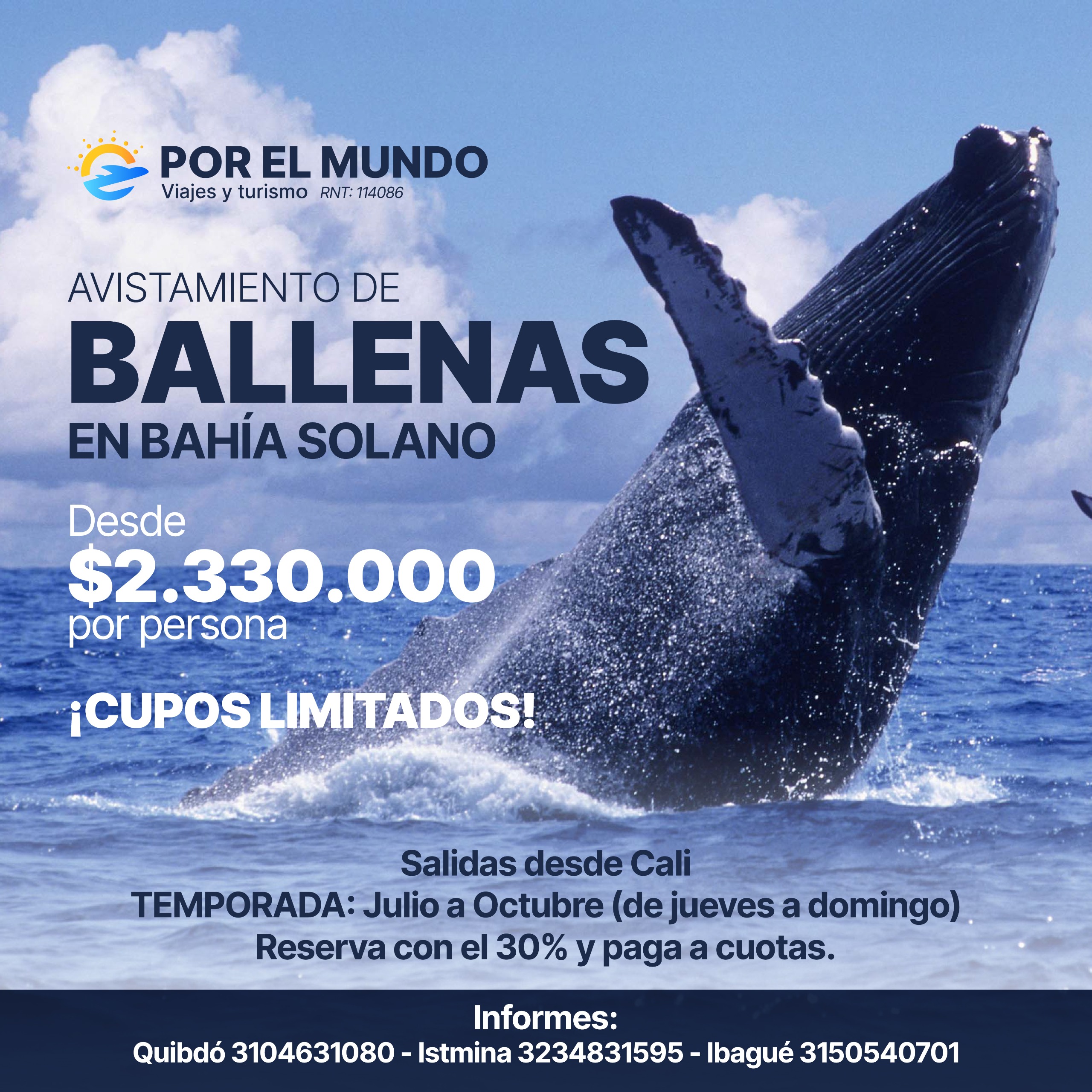 Conoce el Avistamiento de Ballenas en Bahía Solano desde Cali - Por el  Mundo Viajes y Turismo